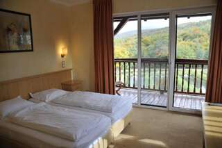 Курортные отели Complex Pastravaria Albota Arpaşu de Sus Двухместный номер с 2 отдельными кроватями-2